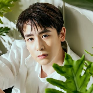 Nichkhun Horvejkul — A Thai-American singer, songwriter, and actor, best known as a member of the K-pop group 2PM.