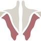 Institute of Human Anatomy