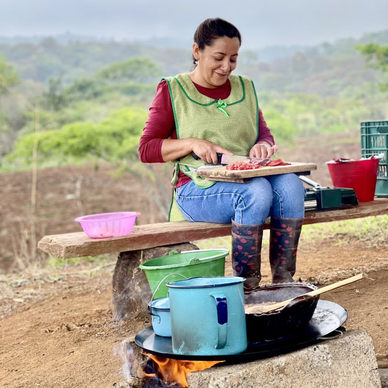 Comida Mexicana Araceli — Food and cooking creator in Mexico