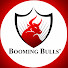 Booming Bulls