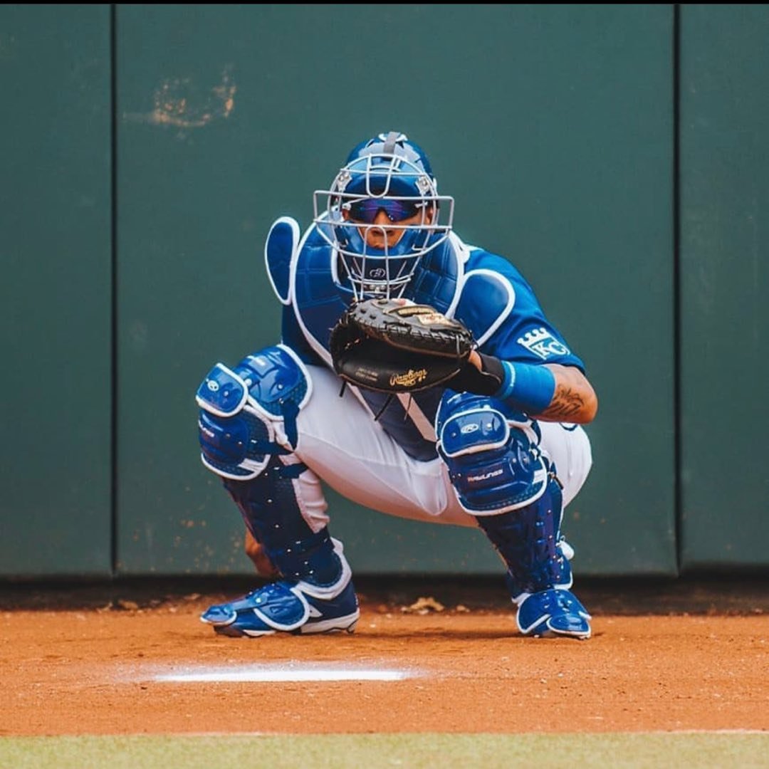 Salvador Perez