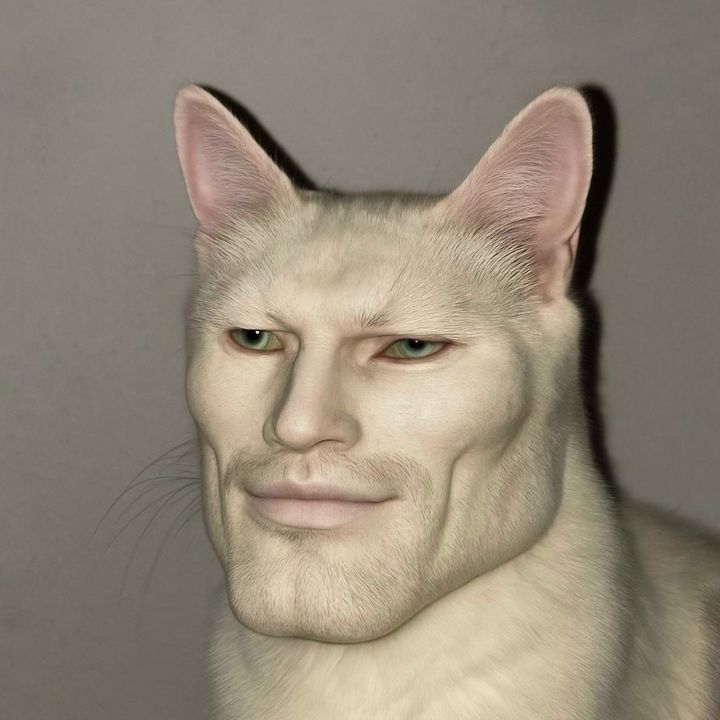 Zane Hijazi