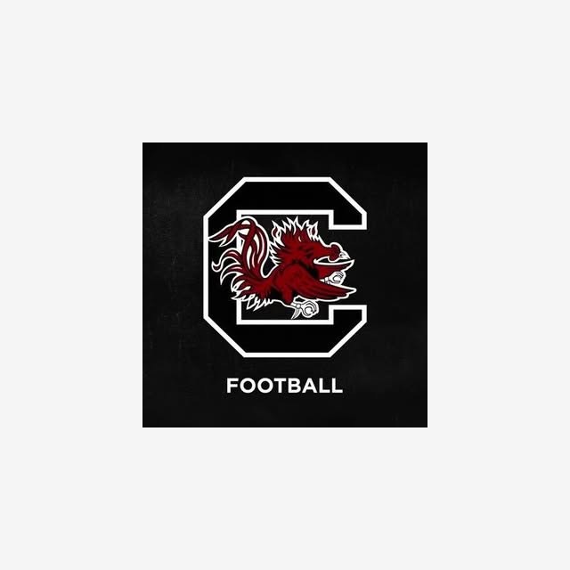 South Carolina Football — South Africa-based lifestyle creator on Instagram