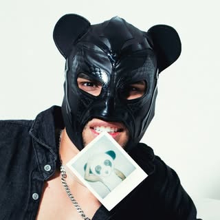 PANDA 🐼
